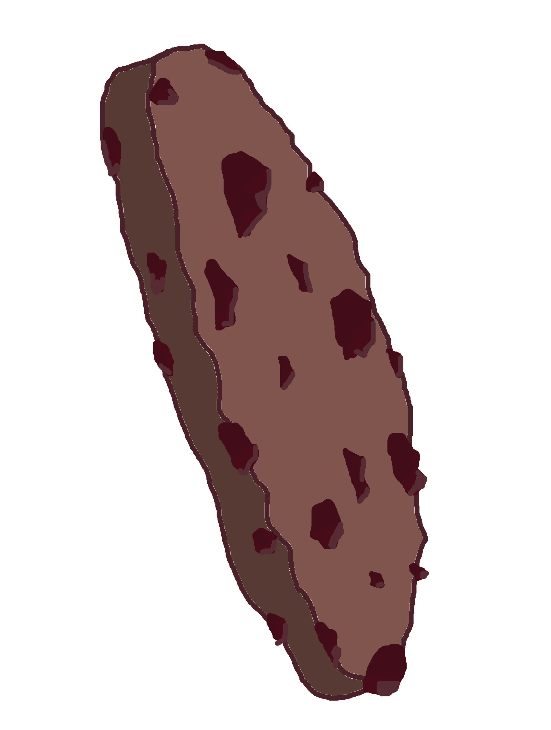 cookie